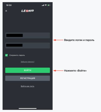 Скриншот страницы авторизации в приложении «Леон»