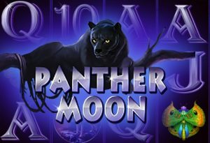 Panther Moon