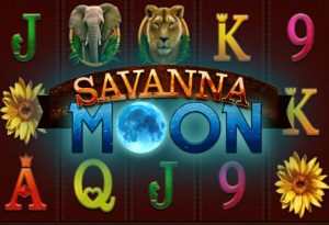 Savanna Moon