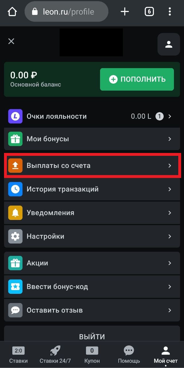 Вывод денег Леон 2