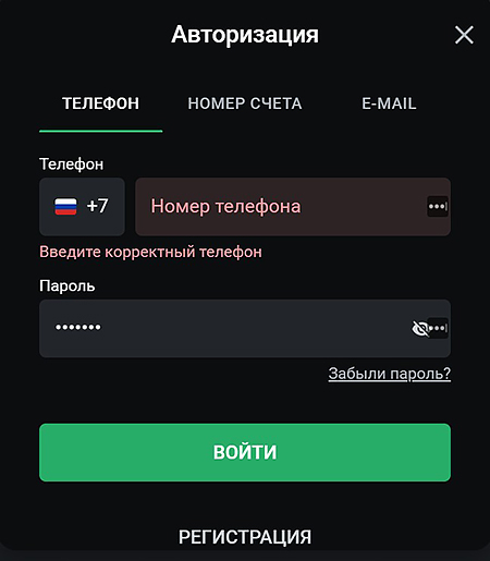 Авторизационное окно